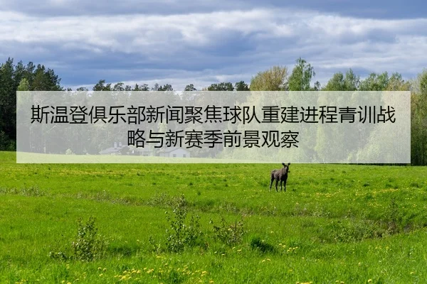 斯温登俱乐部新闻聚焦球队重建进程青训战略与新赛季前景观察